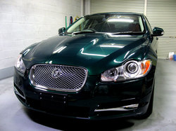 jaguar_xf1.jpg