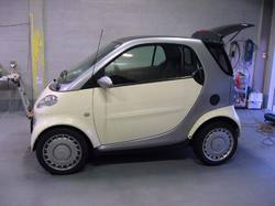 smart05.jpg