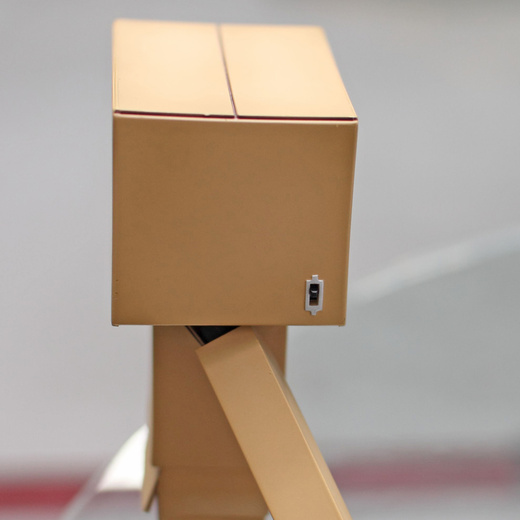 Danboard04.jpg