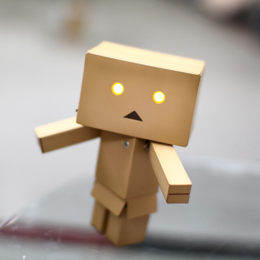 Danboard05.jpg