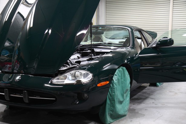 jaguar_xk8_03