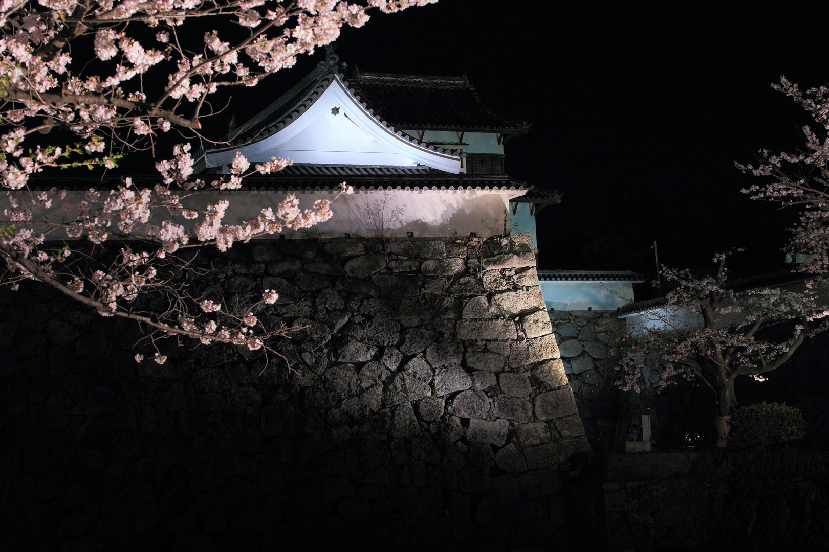 福岡城さくらまつり